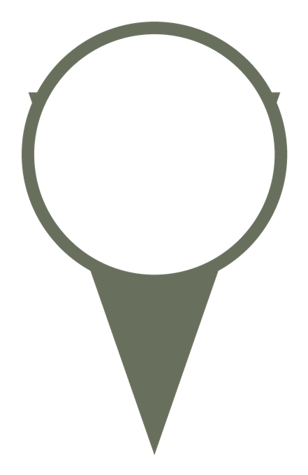 Pin